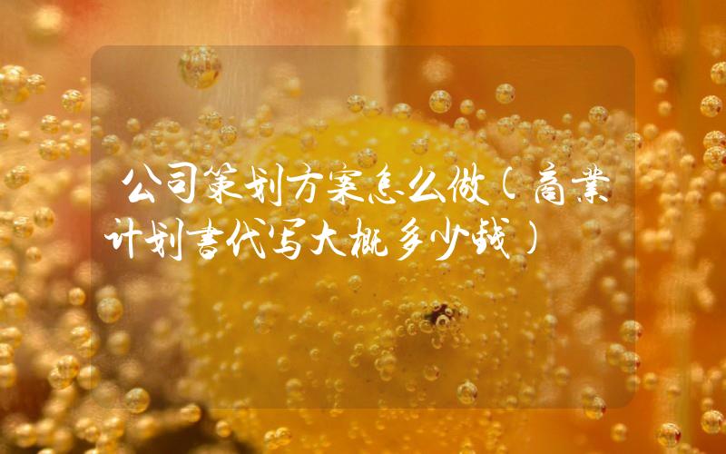 公司策劃方案怎么做(商業(yè)計(jì)劃書代寫大概多少錢)