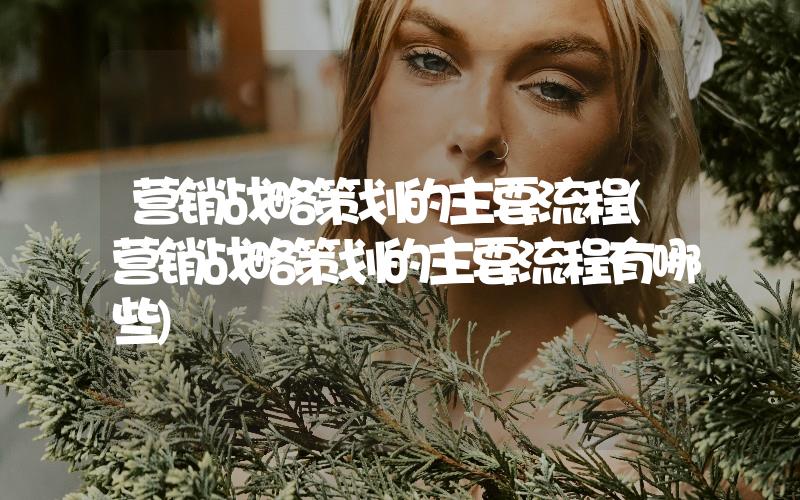 營銷戰(zhàn)略策劃的主要流程(營銷戰(zhàn)略策劃的主要流程有哪些)