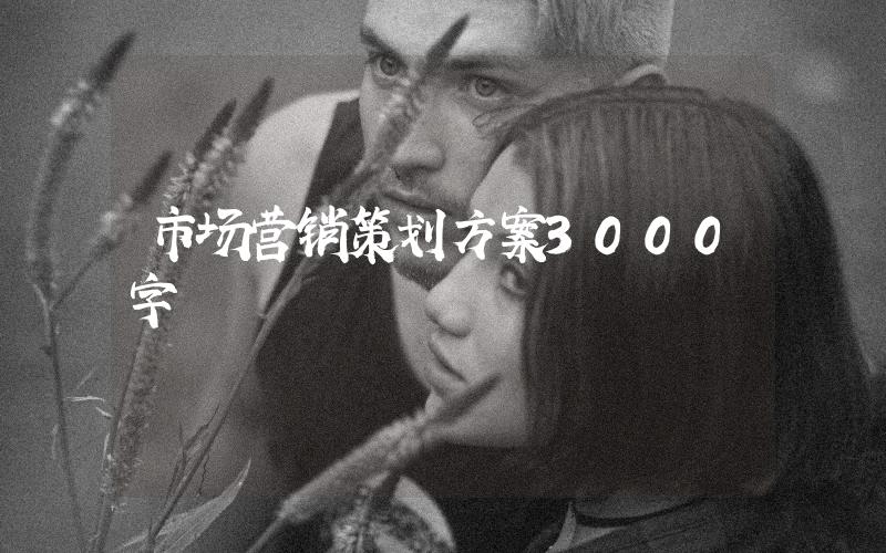 市場(chǎng)營(yíng)銷(xiāo)策劃方案3000字