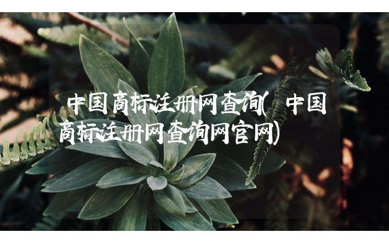 中國(guó)商標(biāo)注冊(cè)網(wǎng)查詢(xún)(中國(guó)商標(biāo)注冊(cè)網(wǎng)查詢(xún)網(wǎng)官網(wǎng))