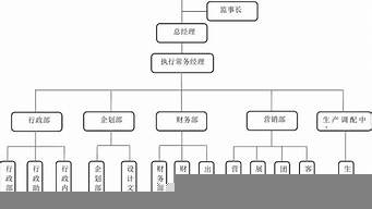 組建公司的方案怎么寫（組建公司的方案怎么寫好）