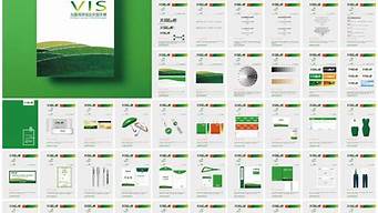 vi設(shè)計(jì)手冊(cè)完整版案例（vi設(shè)計(jì)手冊(cè)全套案例）