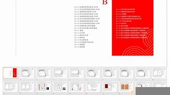 vi設(shè)計(jì)手冊(cè)ppt案例（vi設(shè)計(jì)手冊(cè)全套案例）