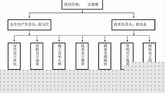 項目組織實施方案（項目實施方案計劃書）