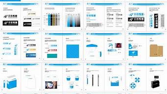 vi設(shè)計(jì)手冊(cè)完整版pdf（vi設(shè)計(jì)手冊(cè)完整版案例）