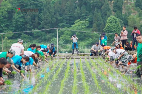 適合40人左右的團(tuán)建活動(dòng)（適合60人左右的團(tuán)建活動(dòng)）