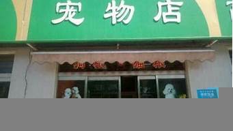 適合縣城開的十五種店（冰雪蜜城店加盟官網(wǎng)）