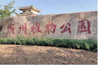 油菜景觀設(shè)計(jì)（油菜景觀設(shè)計(jì)圖）