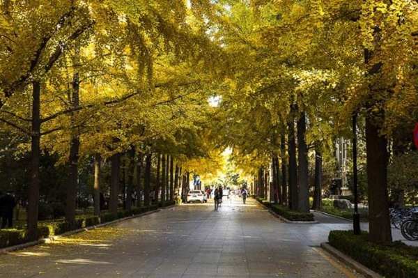 公園設計圖平面圖手繪（公園設計圖平面圖手繪黑白）