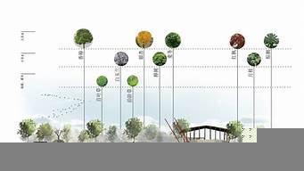 景觀設(shè)計植物材料分析（景觀植物設(shè)計案例）