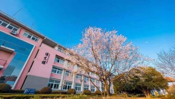 校園設(shè)計圖片
