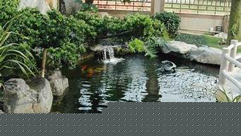 院里景觀設(shè)計(jì)魚池好嗎（院內(nèi)設(shè)計(jì)魚池對(duì)風(fēng)水好嗎）