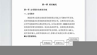 公司成立策劃書方案（公司成立策劃書方案模板）