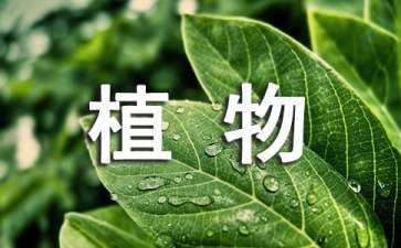 植物景觀(guān)設(shè)計(jì)手法