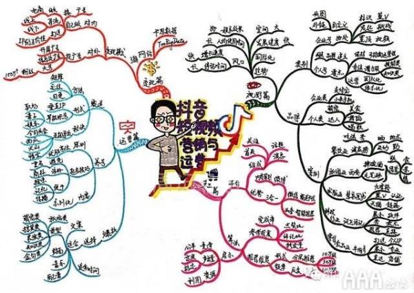 抖音全案運營包括什么（抖音全案運營包括什么）