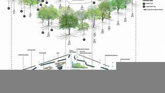 景觀設(shè)計(jì)植物層次分析（植物景觀設(shè)計(jì)基本要素）