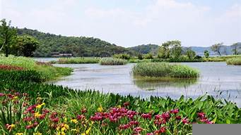 東錢湖景觀設(shè)計(jì)（東錢湖十大勝景）