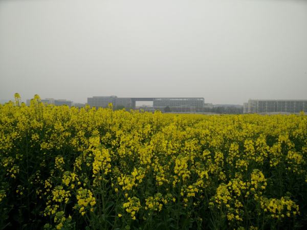 公園設計圖平面圖手繪（公園設計圖平面圖手繪黑白）