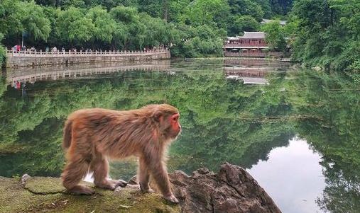 花溪公園景觀設(shè)計(jì)（花溪公園景觀設(shè)計(jì)特點(diǎn)）