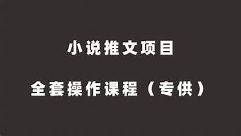 番茄小說(shuō)推廣對(duì)接平臺(tái)（番茄小說(shuō)推廣授權(quán)）