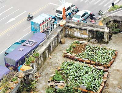 德陽花園景觀設計定制（德陽花園景觀設計定制店）