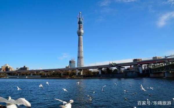 上野公園景觀設(shè)計(jì)（上野公園景觀設(shè)計(jì)招標(biāo)）