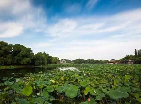 風(fēng)景園林圖片美圖（風(fēng)景園林圖片美圖高清）