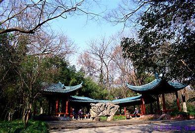 蕪湖山水景觀設(shè)計(jì)（蕪湖的山水）