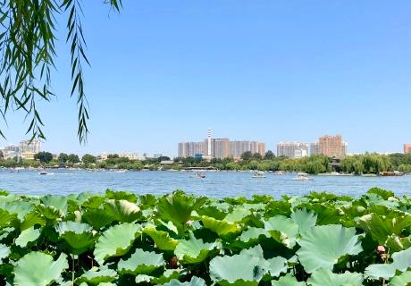 千佛山公園景觀設(shè)計(jì)（千佛山公園景觀設(shè)計(jì)方案）