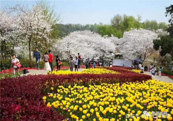 瀏陽河婚慶公園景觀設計（瀏陽河婚慶公園景觀設計招標）