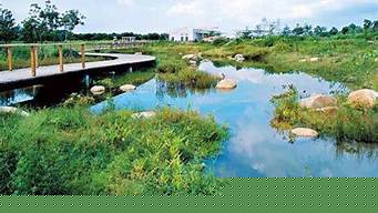 香港濕地公園景觀(guān)設(shè)計(jì)（香港濕地公園景觀(guān)設(shè)計(jì)圖）