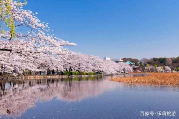 上野公園景觀設(shè)計(jì)（上野公園景觀設(shè)計(jì)招標(biāo)）