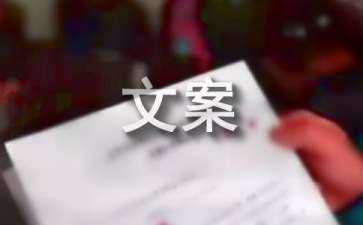 廣告文案創(chuàng)意說明怎么寫（廣告文案創(chuàng)意說明怎么寫范文）