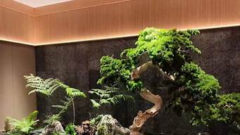 室內(nèi)小型景觀設(shè)計研究（室內(nèi)小型景觀設(shè)計研究報告）