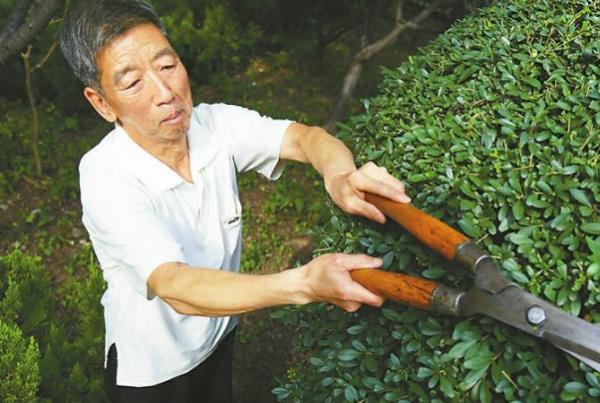 景觀設(shè)計尷尬（景觀設(shè)計太難了）