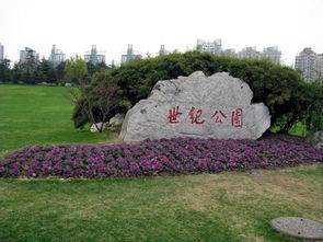 泗涇公園景觀設(shè)計(jì)（泗涇公園景觀設(shè)計(jì)招標(biāo)）