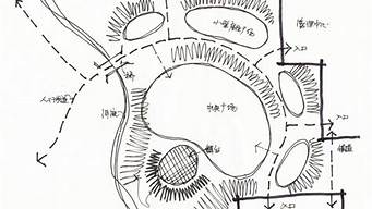 泡泡圖景觀設(shè)計作用（景觀泡泡圖同布局）