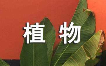 園林景觀設(shè)計(jì)封面a1（園林景觀設(shè)計(jì)封面a1）