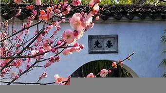 梅花在園林里景觀設(shè)計（梅花園林綠化圖片）