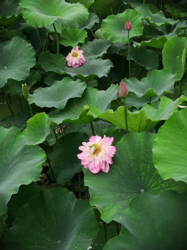 機(jī)械女生畢業(yè)都干嘛了（普通二本機(jī)械專業(yè)出來(lái)干啥）