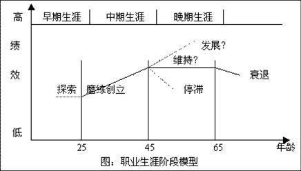 探索階段包括哪幾個成長期