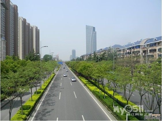 道路綠化景觀設(shè)計(jì)說明（道路綠化景觀設(shè)計(jì)說明怎么寫）