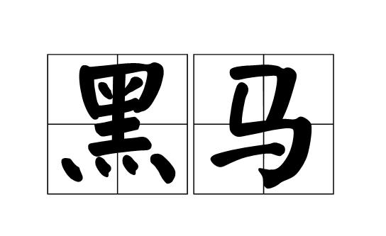 黑馬培訓(xùn)機(jī)構(gòu)（黑馬培訓(xùn)機(jī)構(gòu)怎么樣）