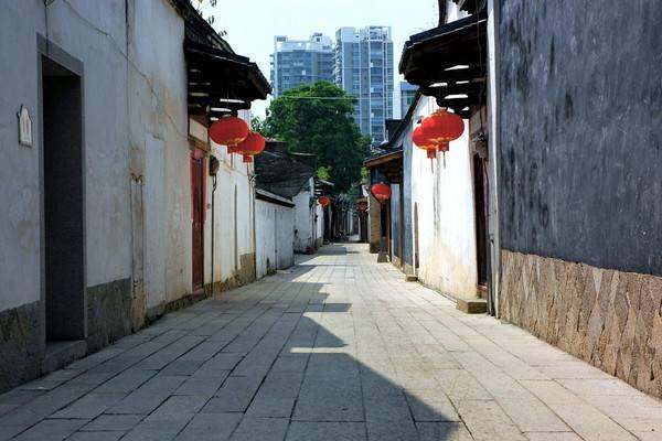 福州江心公園景觀設計（福州江心公園景觀設計招標）