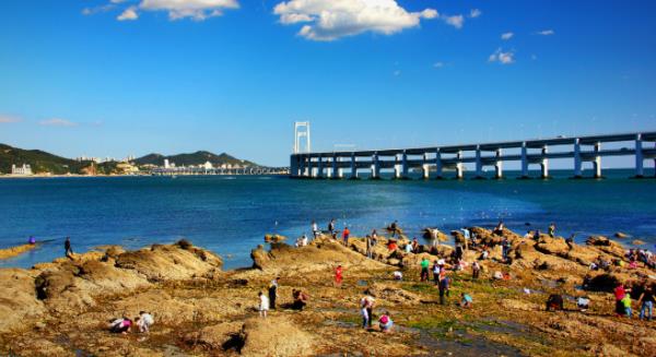 傅家莊公園景觀設計（傅家莊公園景觀設計理念）