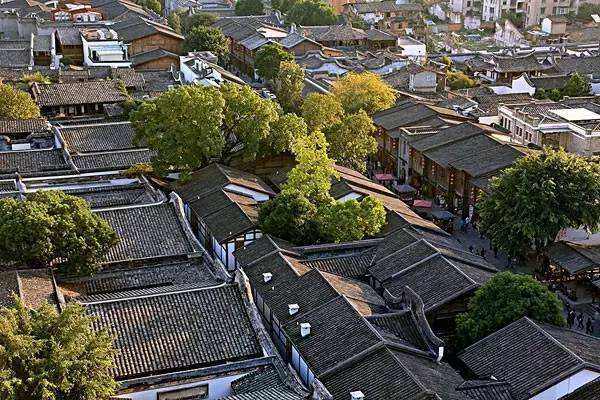 福州江心公園景觀設計（福州江心公園景觀設計招標）