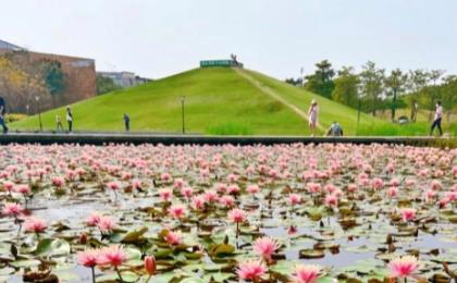 海灣公園景觀設(shè)計(jì)（海灣公園景觀設(shè)計(jì)理念）