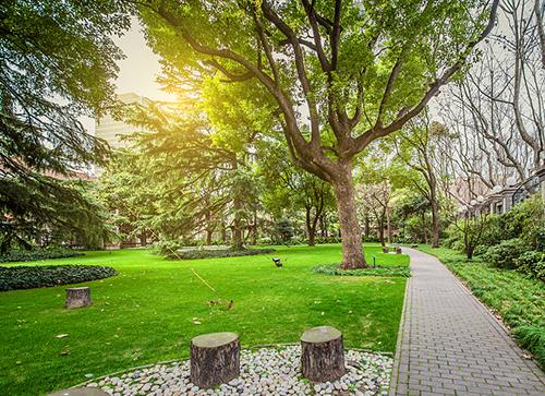 公園景觀設計案例分析（公園景觀設計案例分析怎么寫）_1