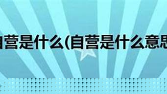 自營企業(yè)是啥意思（自營型企業(yè)）