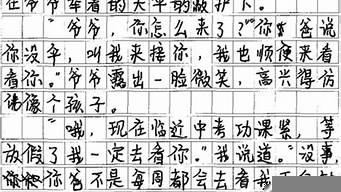 一篇800字的作文